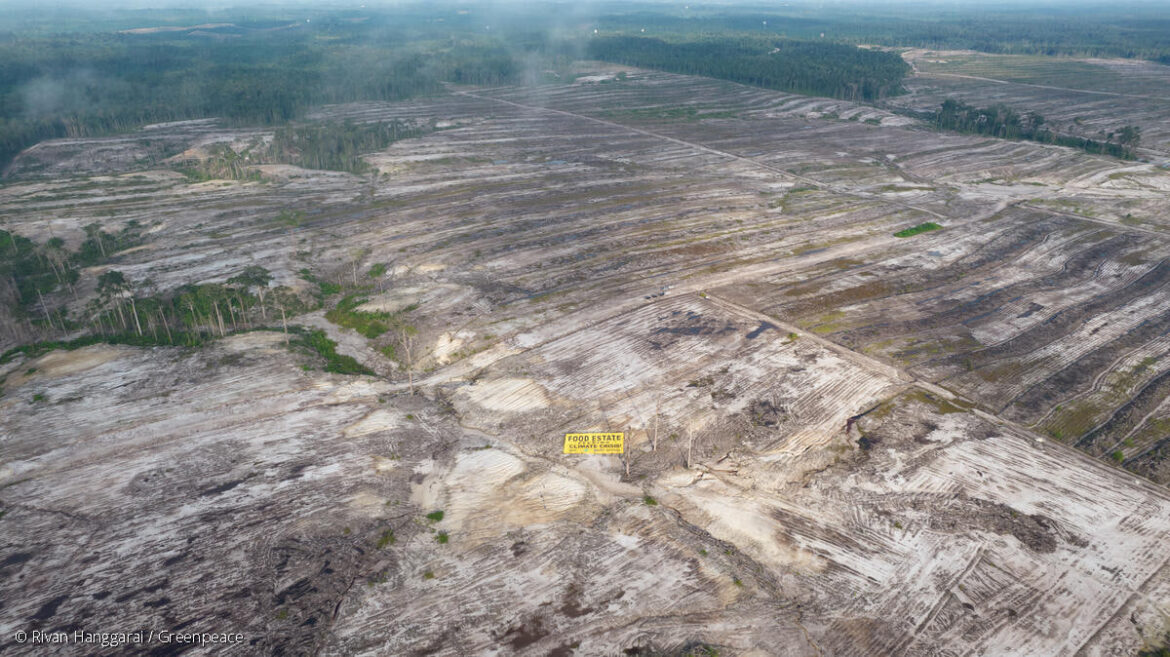 Perampasan Ruang Hidup dalam Proyek Food Estate