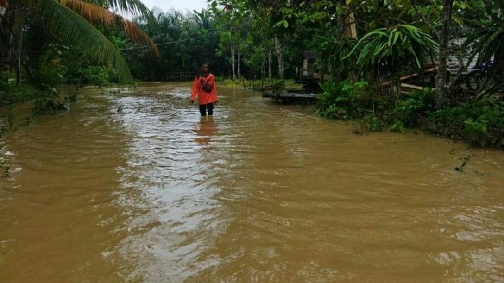 Jika Pindah IKN Masih Kebanjiran? 