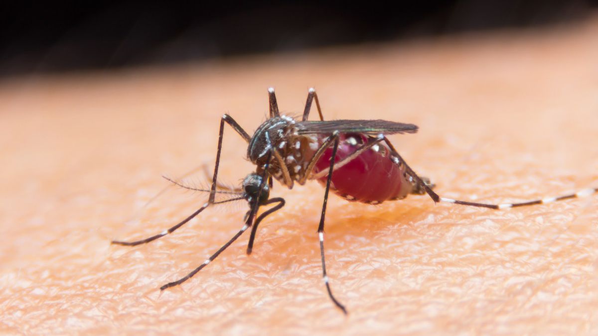 Malaria Meningkat Wujud Kesehatan Umat Tak Terjamin