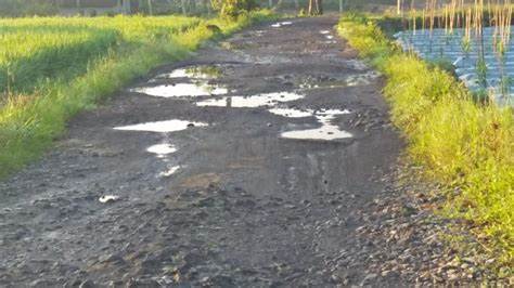 Curi Perhatian Pemerintah dengan Viralkan Jalan Rusak