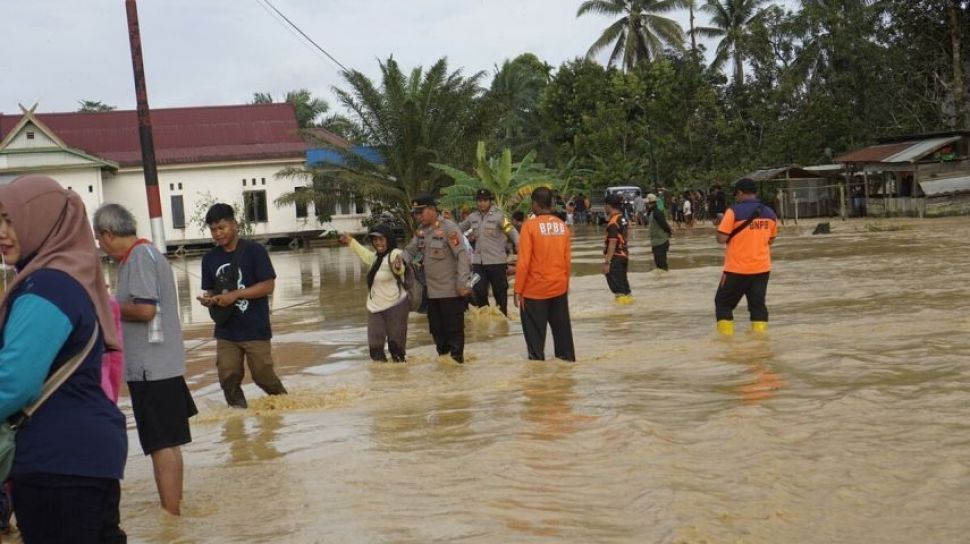Banjir Kariangau, Apakah Karena IKN baru?