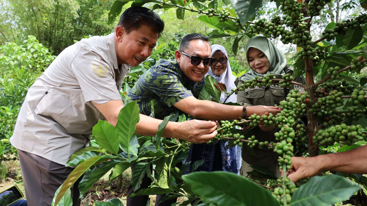Pemprov Kaltim Apresiasi Pengembangan Perkebunan Kopi Luwak oleh Pemkab Kukar