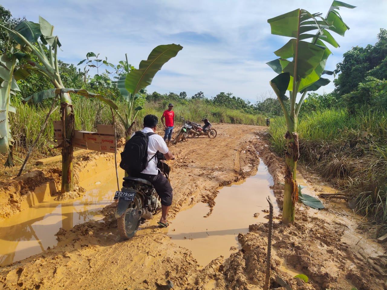 Jalan Tak Kunjung Diperbaiki, Warga Desa Mata Air Tanam Pisang Di Jalan